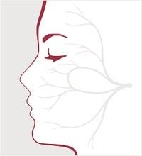 oham-512-cara